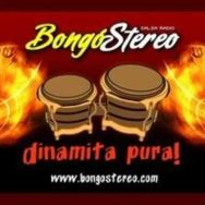 Bongo Stereo Logo