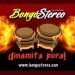 Bongo Stereo