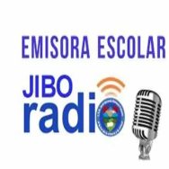 Jibo Radio 100.5 FM Logo