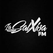 La Salxisa 100.1 FM Logo