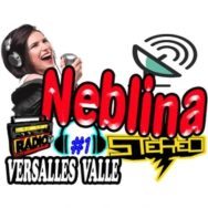 Neblina Stereo Logo