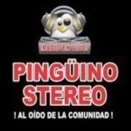 Pinguino Stereo Logo