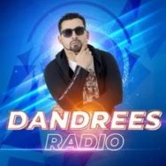 Dandrees Radio Logo